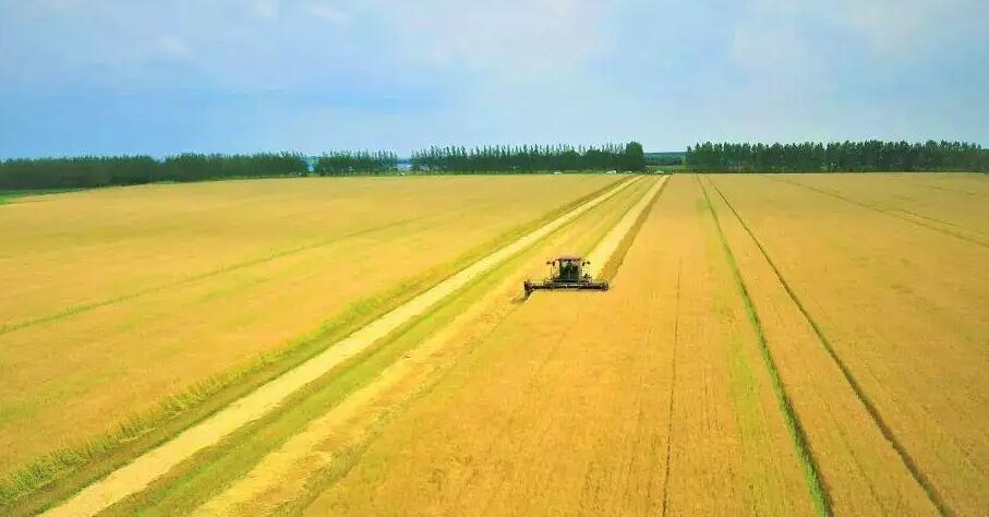 農(nóng)產(chǎn)品品牌化 農(nóng)產(chǎn)品品牌化