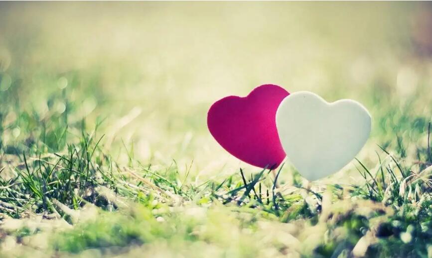 1665399865173775.jpg 交友網(wǎng)站logo設(shè)計理念