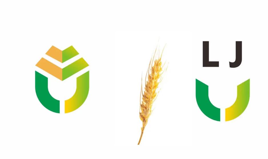 1667972876335887.jpg 237.jpg