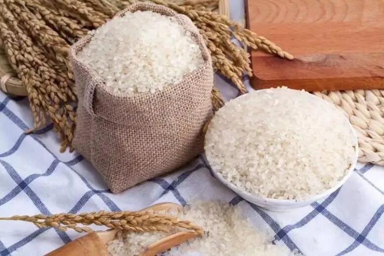 1668564458860441.jpg 303.jpg