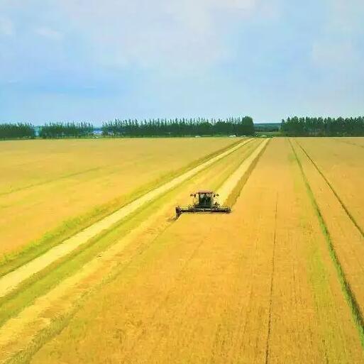 企業(yè)vi視覺(jué)設(shè)計(jì)的重要性有哪些？