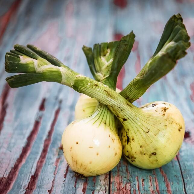 1677575115152171.jpg 9.jpg