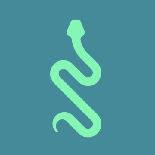 蛇年蛇形Logo的設(shè)計(jì)理念